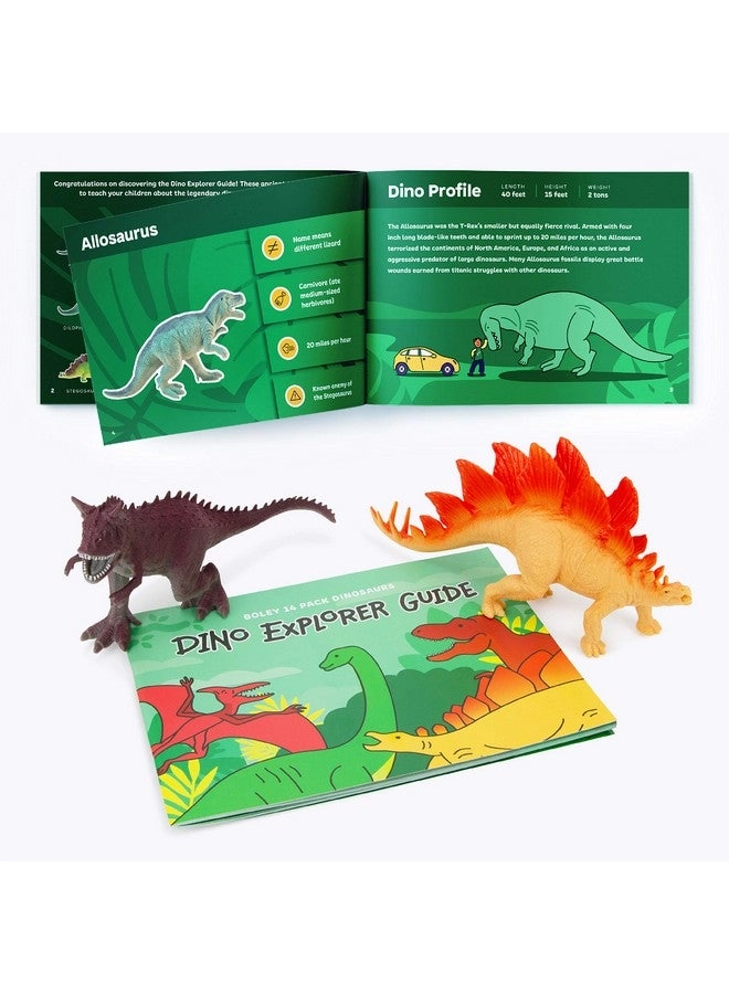 Dinosaur Figures - Educational Booklet 14 pcs