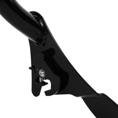Havoc Sissy Bar