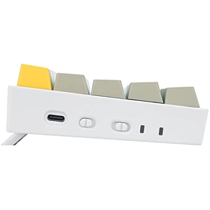 DRACONIC RGB PRO - Wired/Wireless