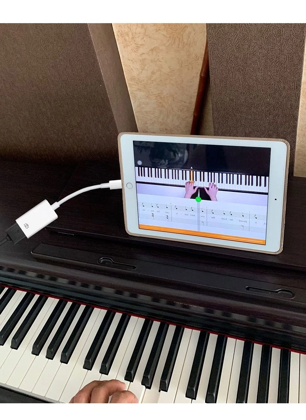 GS12 Lightning to USB