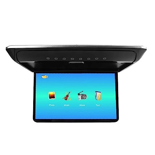 Car Overhead Player - 15.6in