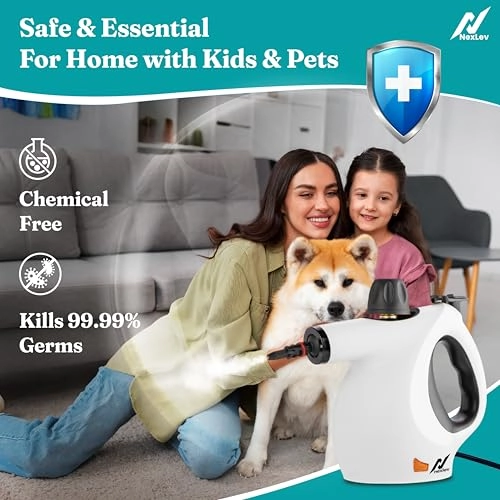 Shine Steam Cleaner - 450ML