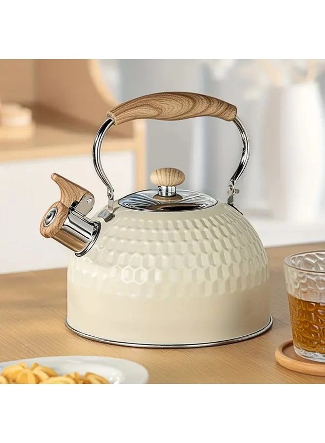 Generic Stovetop Tea Kettle