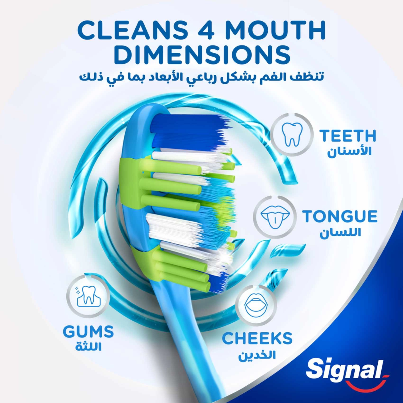 4D Toothbrush - Medium 2-Piece Pack