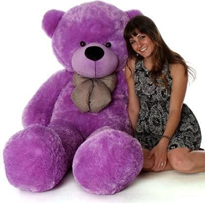 Teddy bear