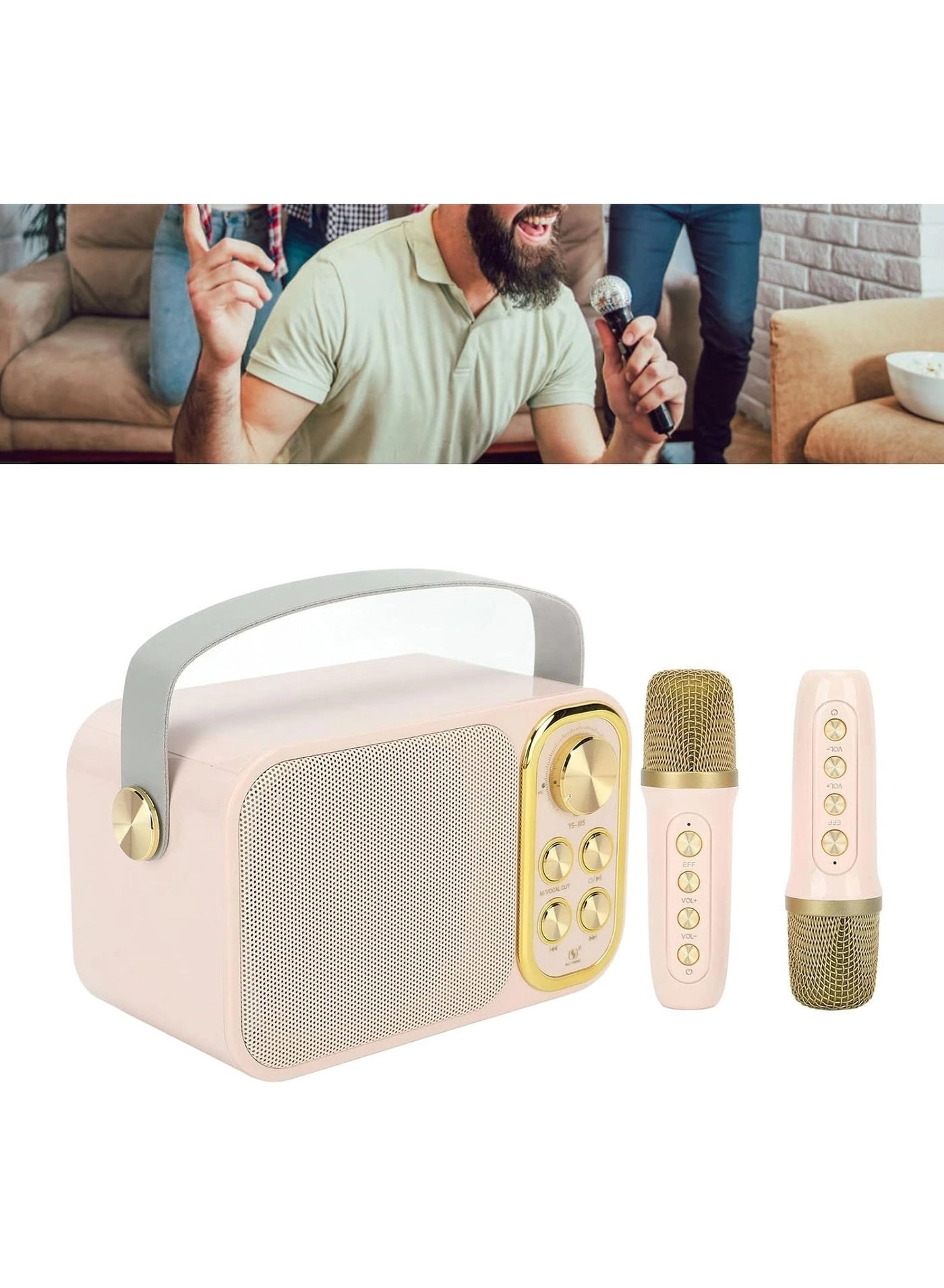 Outdoor Party Vocal Machine - 2 microphones