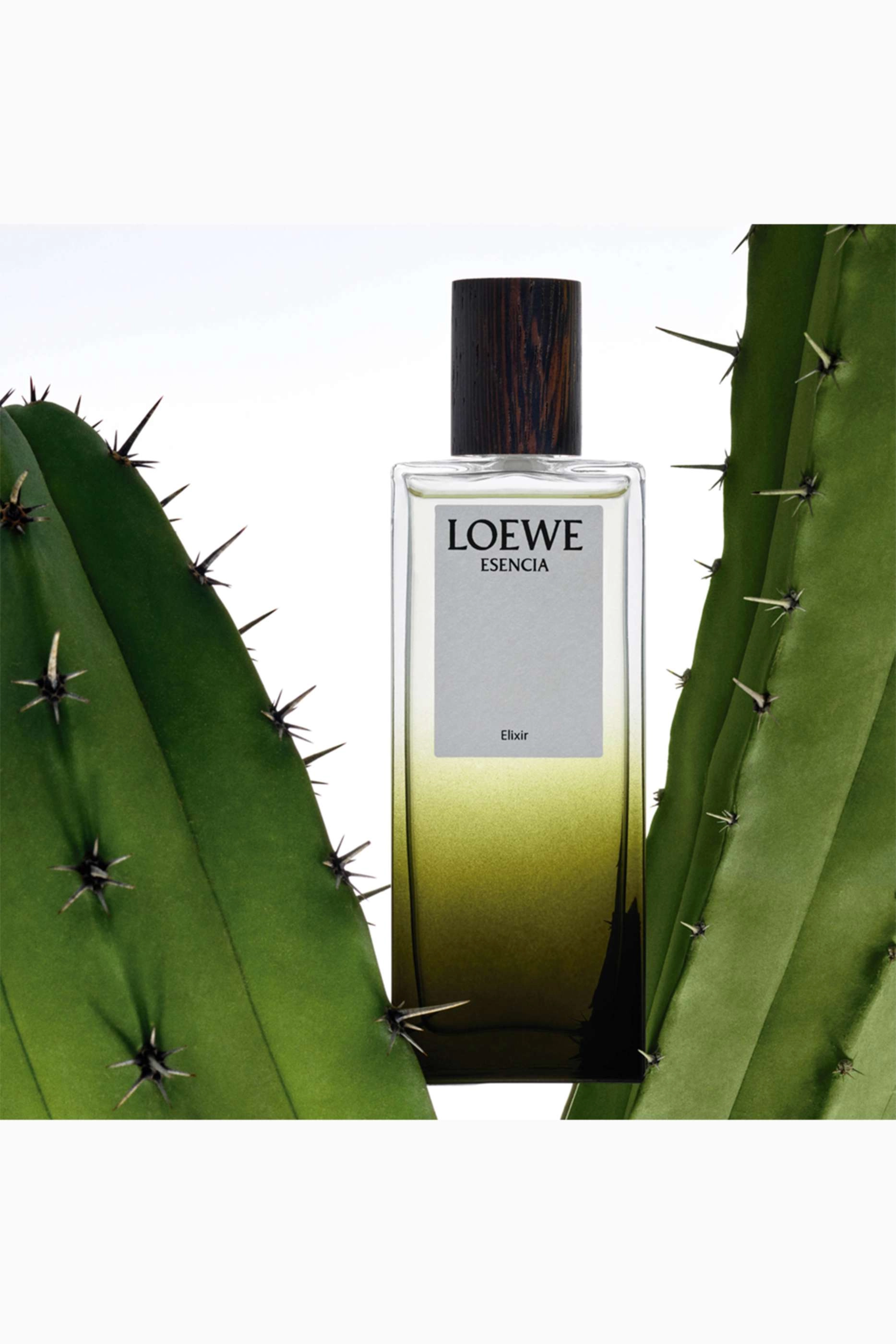 Esencia Eau de Parfum 100ml