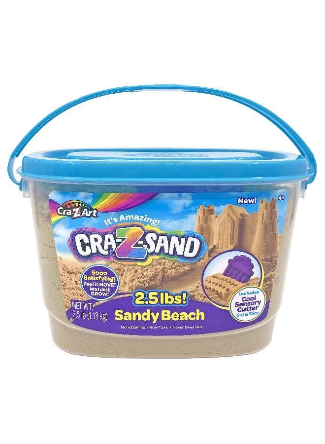 Cra-Z-Sand Sandy Beach Modeling Sand - 2.5 lbs cool sensory cutter