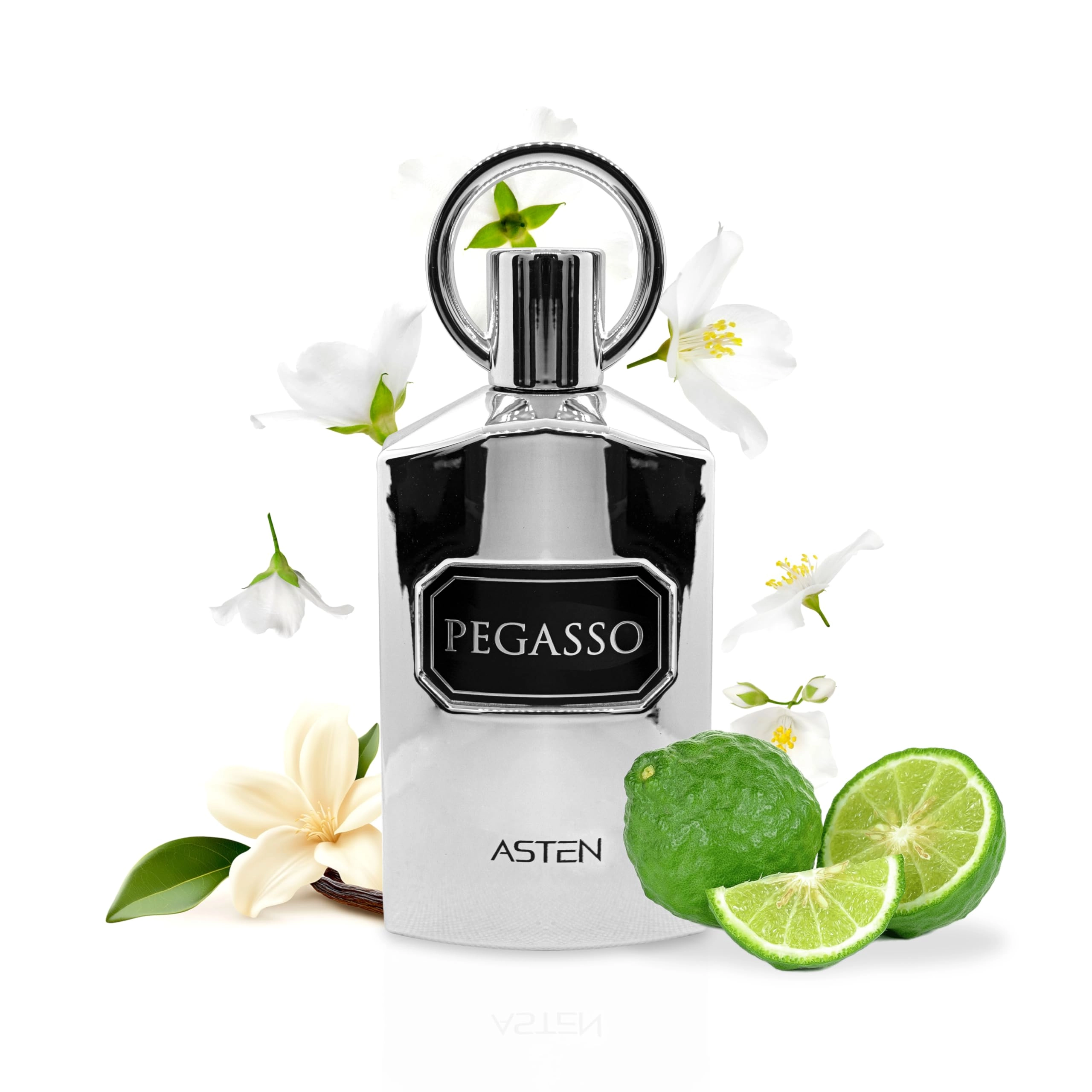 OUDH AL ANFAR MANUFACTURING L.L.C Pegasso Eau de Parfum - 100ml