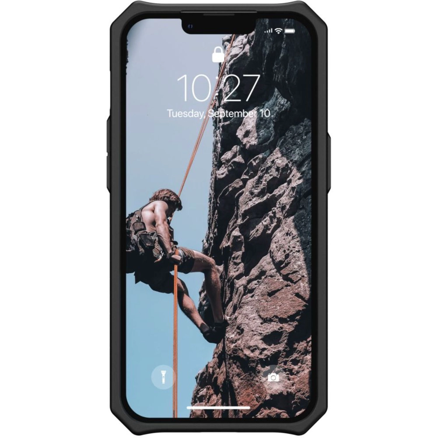 Coconut Monarch Back Case for iPhone 13 Pro