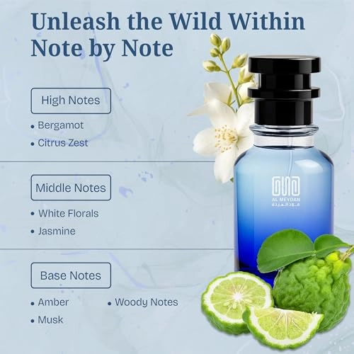 Steellarr Tiimess - 100 ML