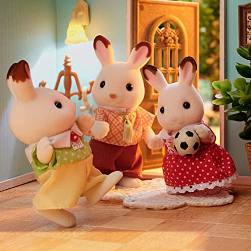 Chocolate Rabbit Family - 3 years Rabbit 4