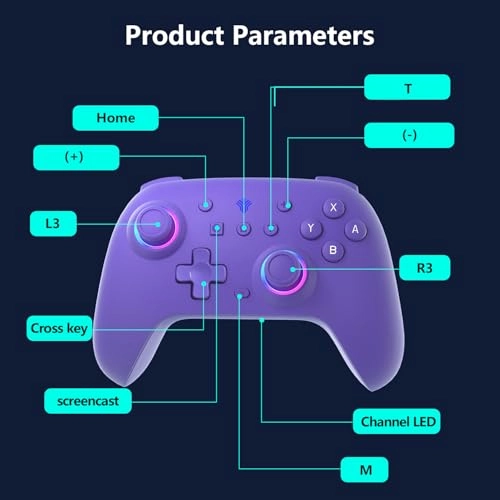 Switch Controller - Purple Nintendo Switch