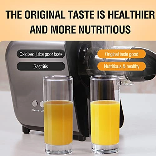 Slow Masticating Juicer - 250W 1300ml