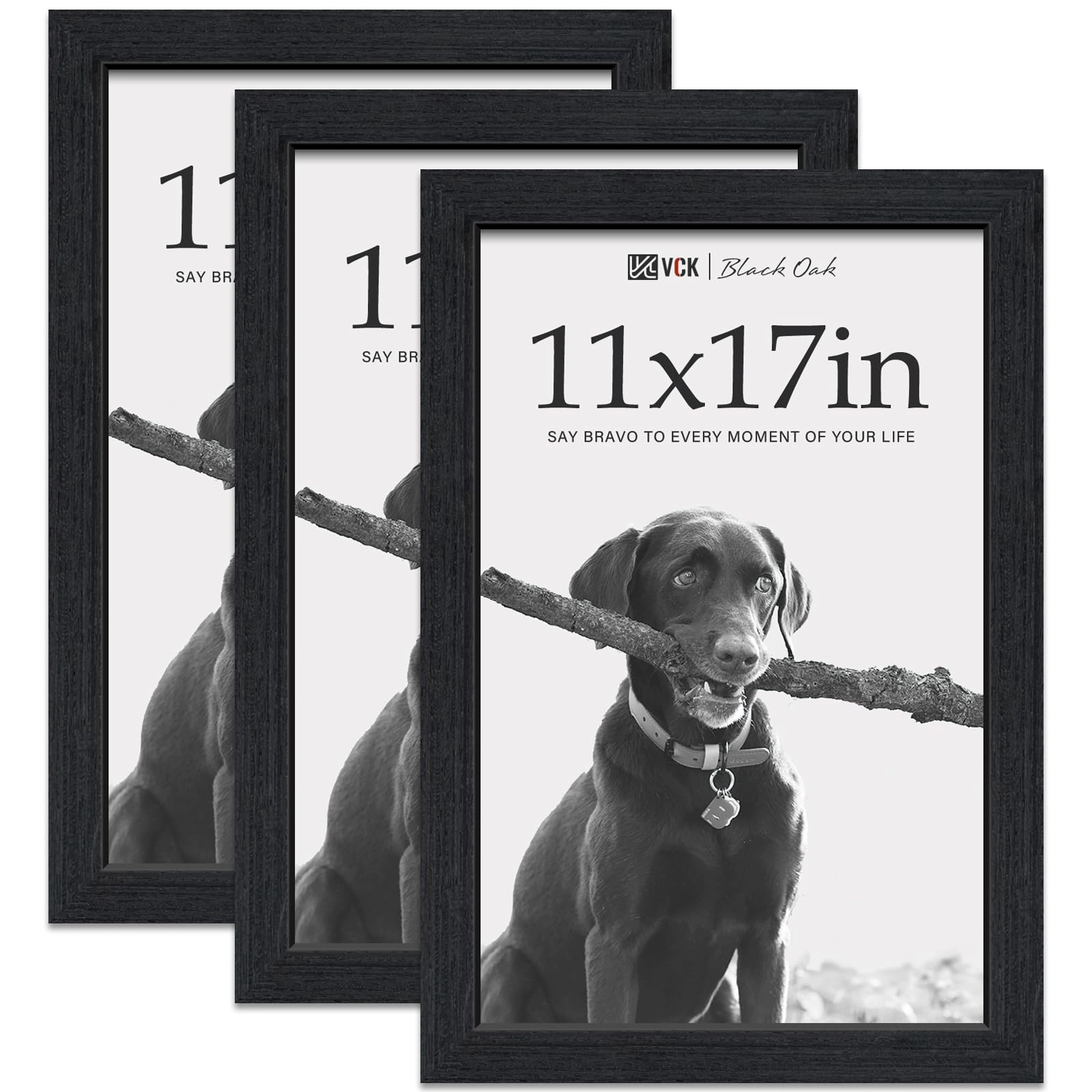 Picture Frame - 11 x 17 Pack