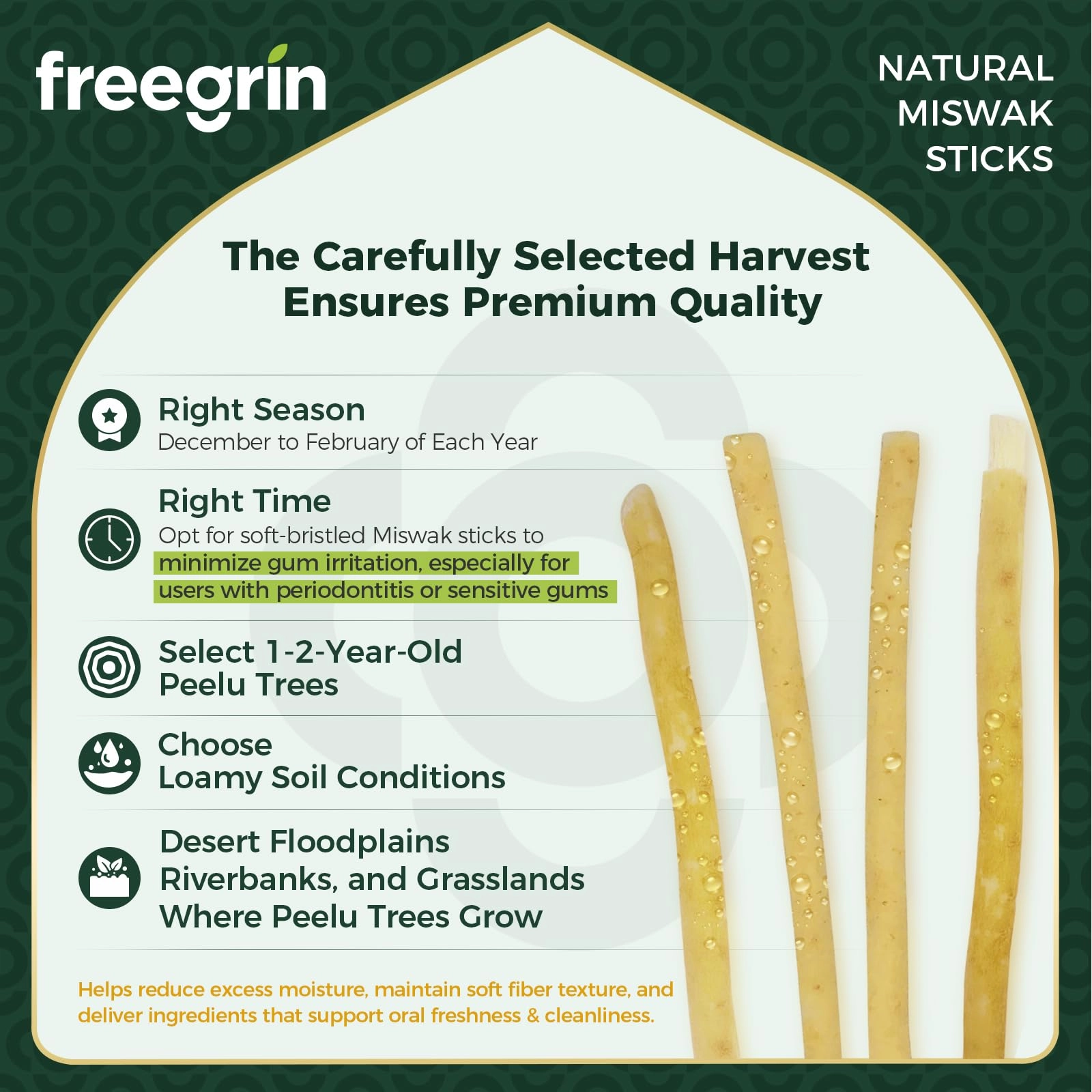 Miswak Sticks - 9-Piece Pack