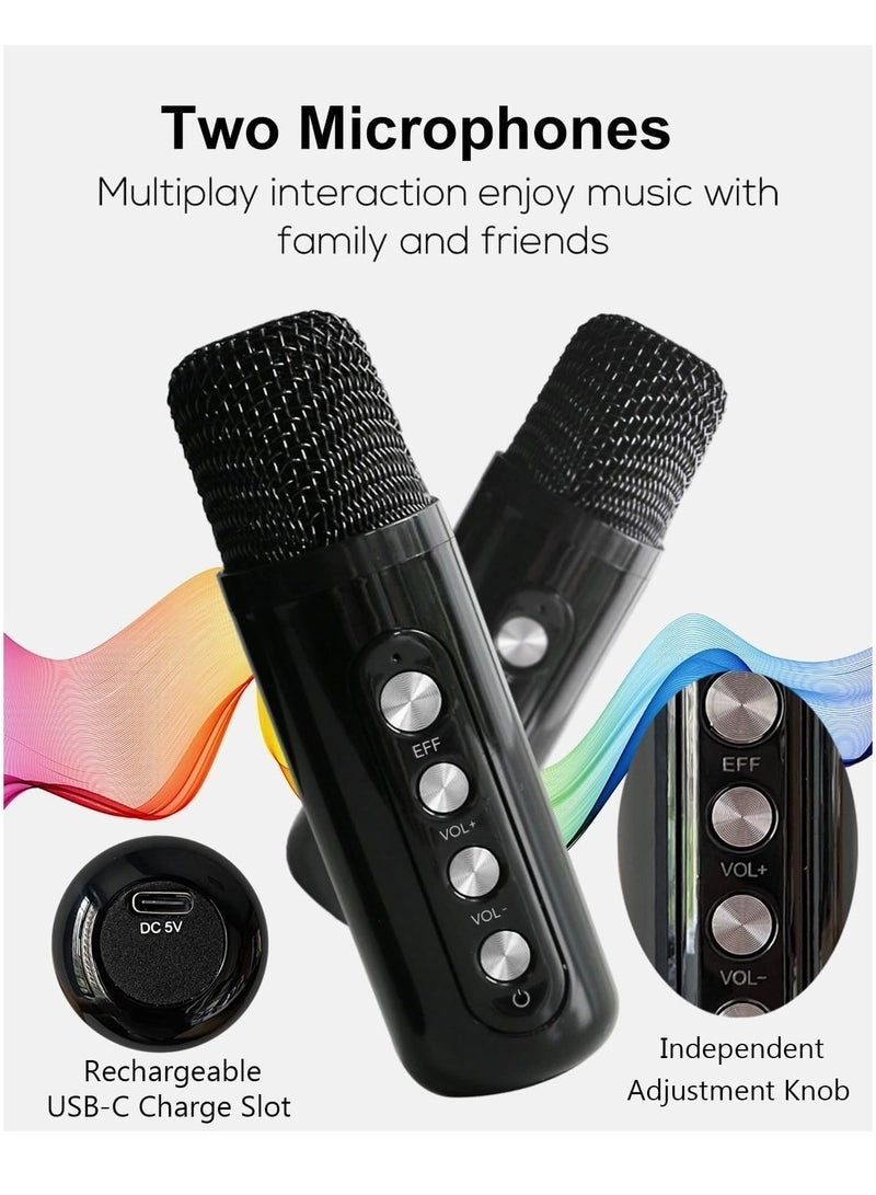 MMF-307 - 2 x Handheld Wireless Microphones 10W