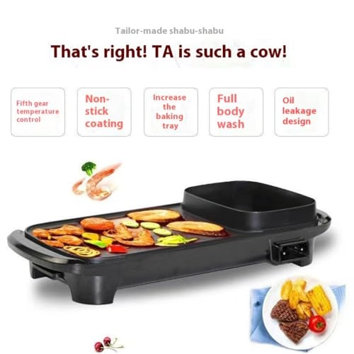 2-in-1 Electric Griddle