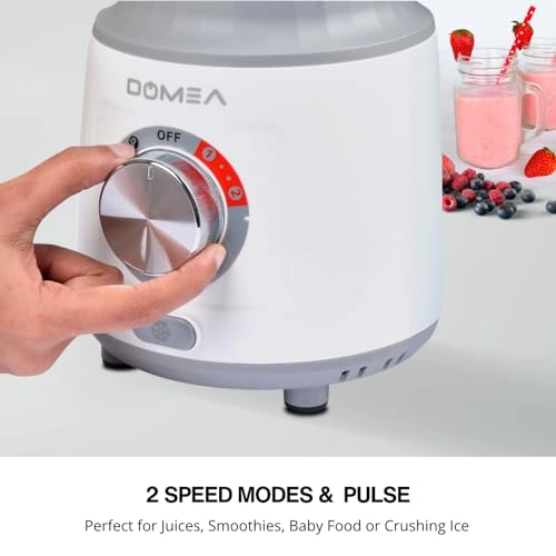 2-in-1 Blender & Grinder - 600W