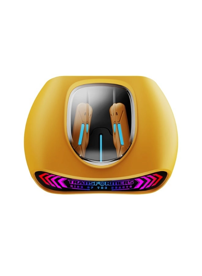 TF-T32 Wireless Earbud