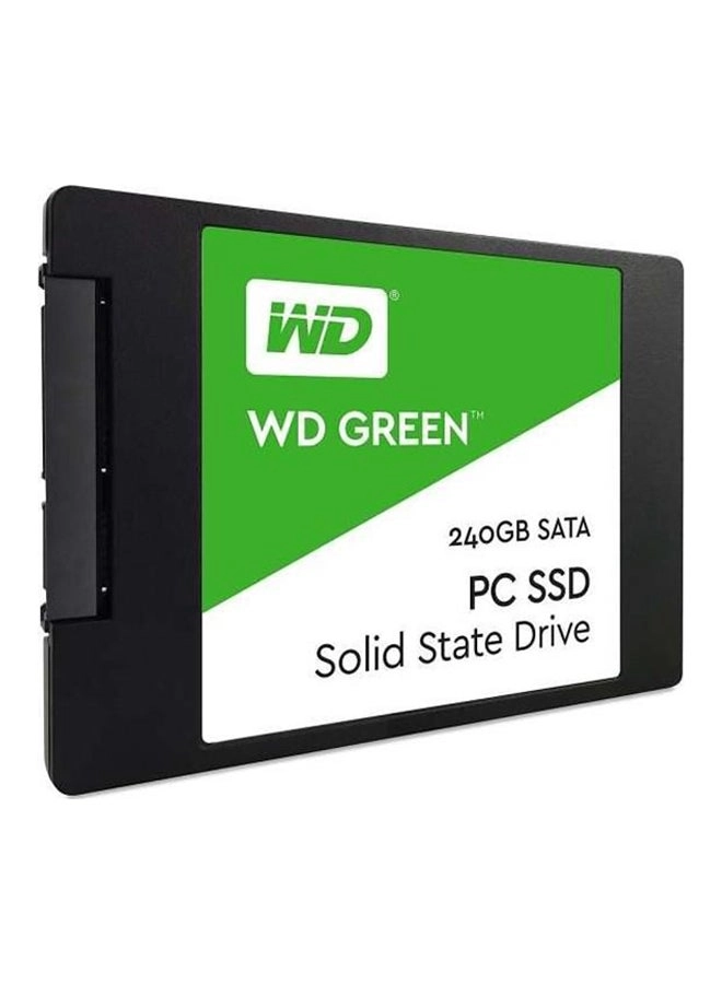 SATA (SSDWD240GBGREEN) - 240GB