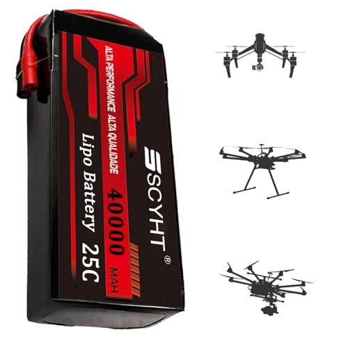 Lithium Battery - 51.8V 40Ah 25C