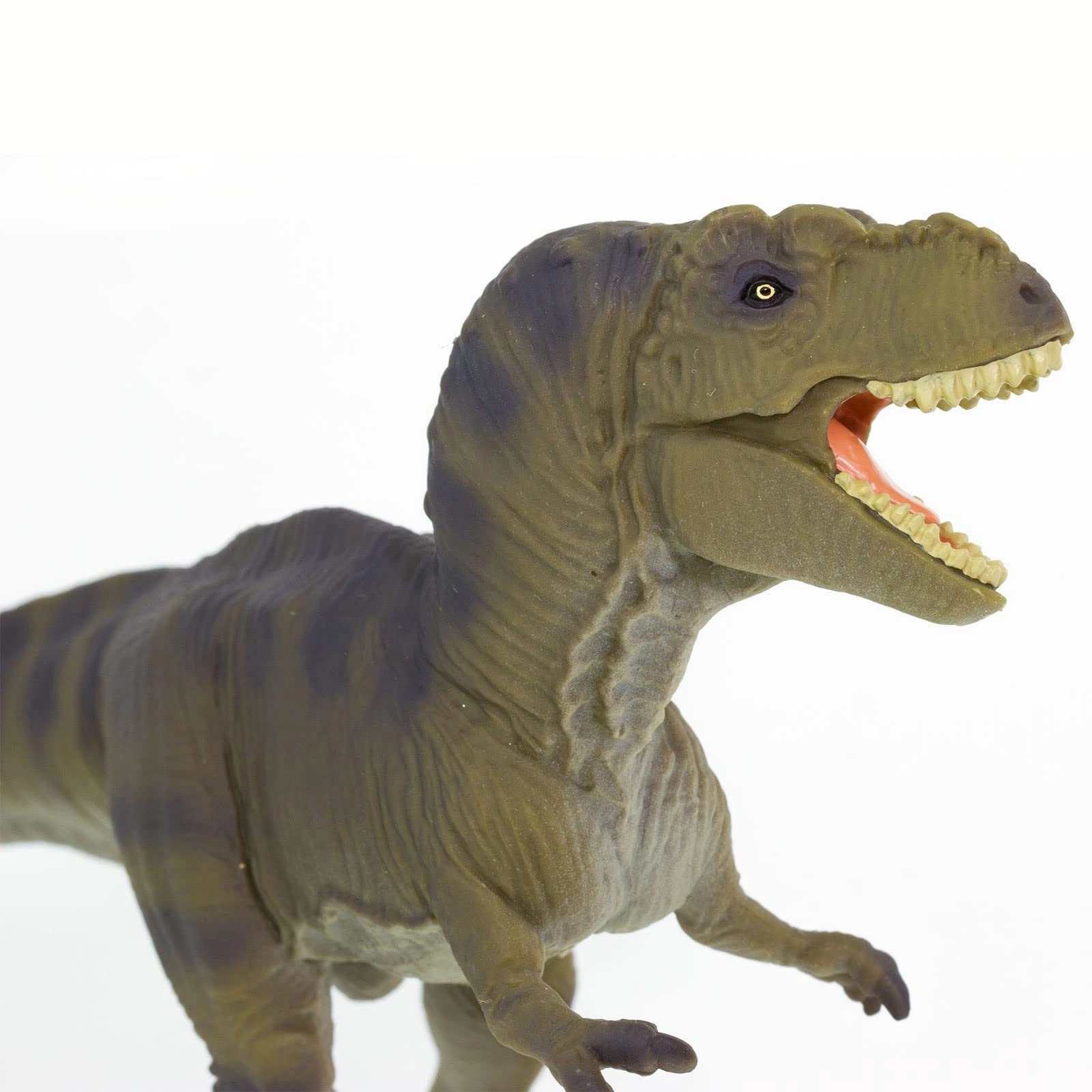Dinosaur - Tyrannosaurus Rex