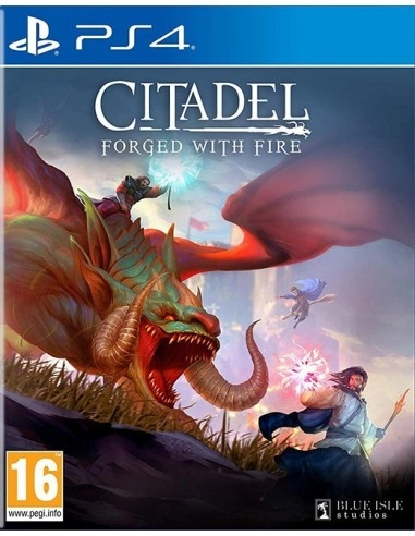 PLAION Citadel: Forged With Fire - PlayStation 4
