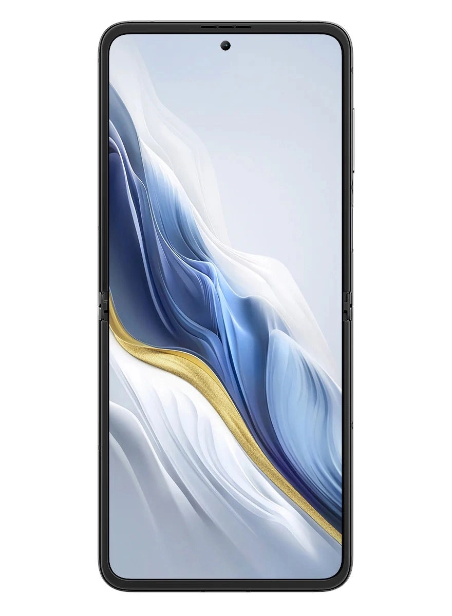 Hero 10 Flip - 36GB 256GB