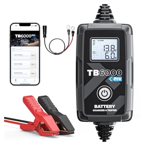 FVGshshDH TB6000 Pro - 12V 8A/3A/1A