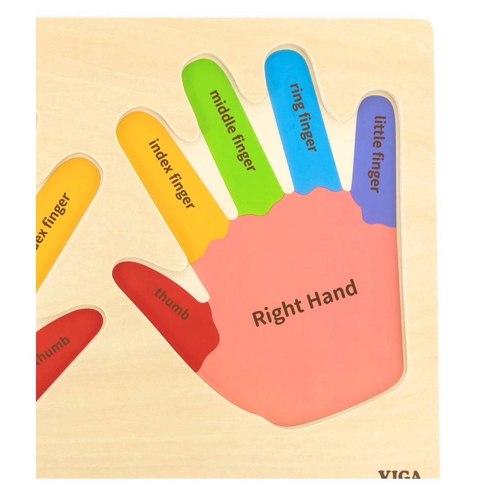 Hand and Finger Puzzle - 3 + 12 piece(s)