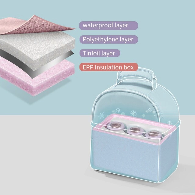 Insulated Lunch Bag With Thermo Box