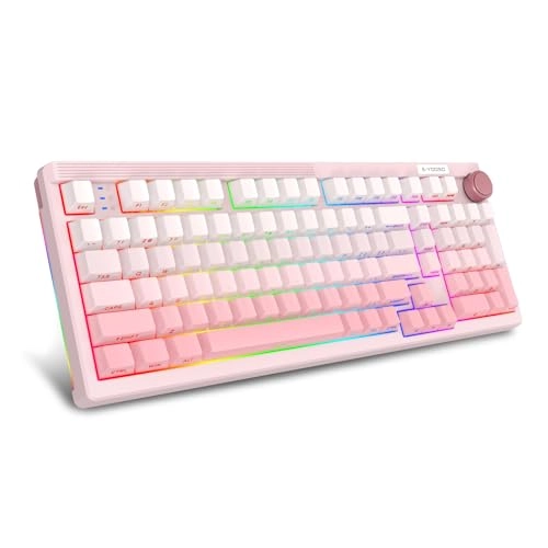 Z101 Pro - Wired/Wireless