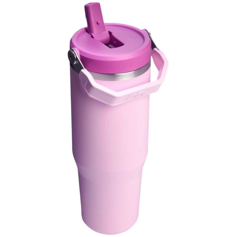 Ice Flow Go Water Bottle Flip Straw 890 ml