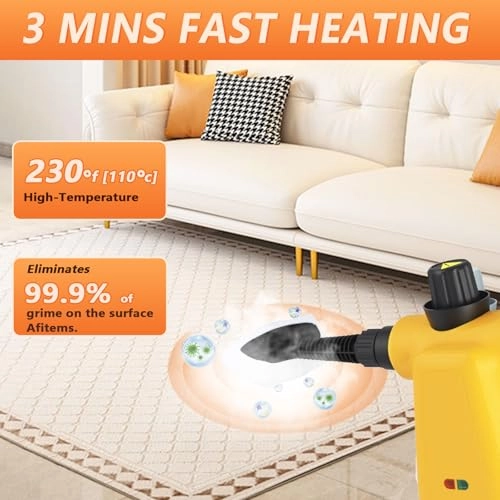 Steam Cleaner - 350ml