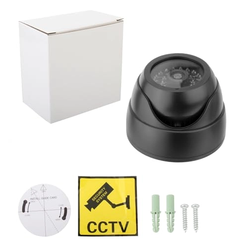 Dome Simulation Camera - Outdoor