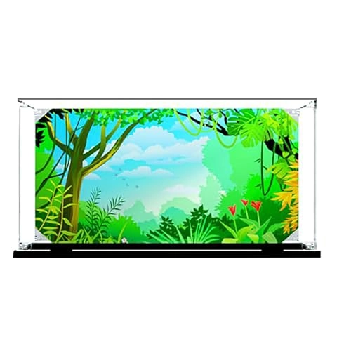 Acrylic Display Case - 35x25x25cm Dustproof Transparent