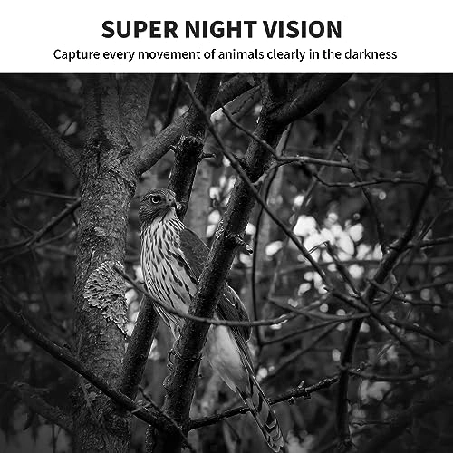 Mini Trail Camera - 24MP Pack