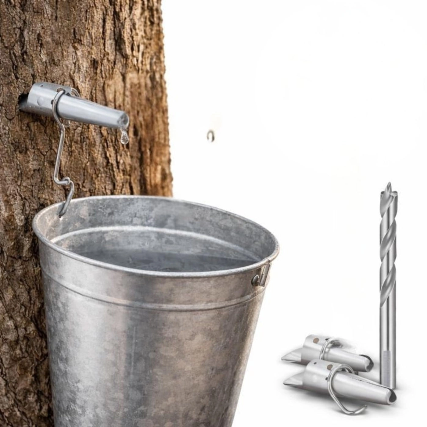 Atlantic Rush Maple Syrup Spiles - Stainless Steel 2 piece(s) + Maple Tree Tapping Drill Bit