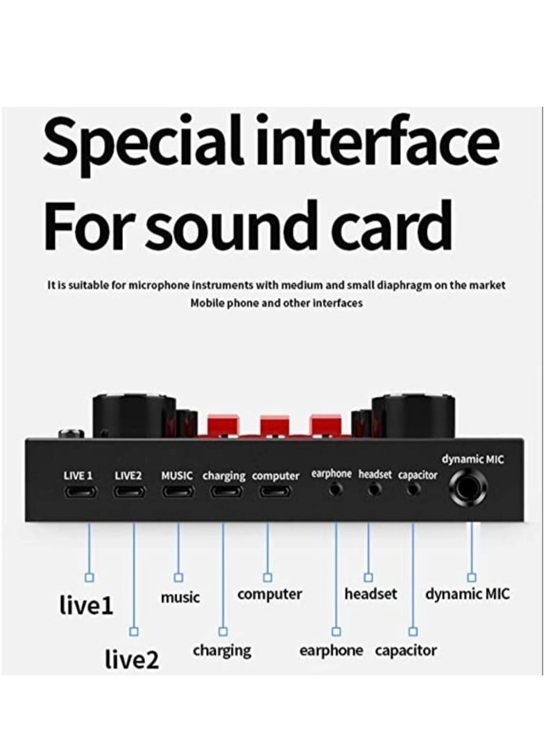 BM-800 + V8 Live Sound Card Wired Microphone