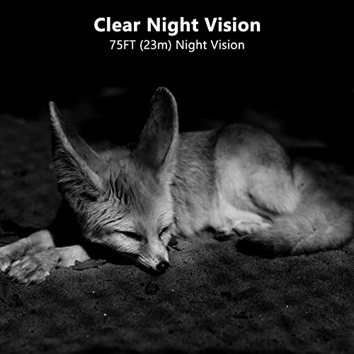 Trail Camera - 24 megapixel