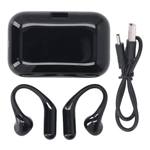 Al Translation Earphone