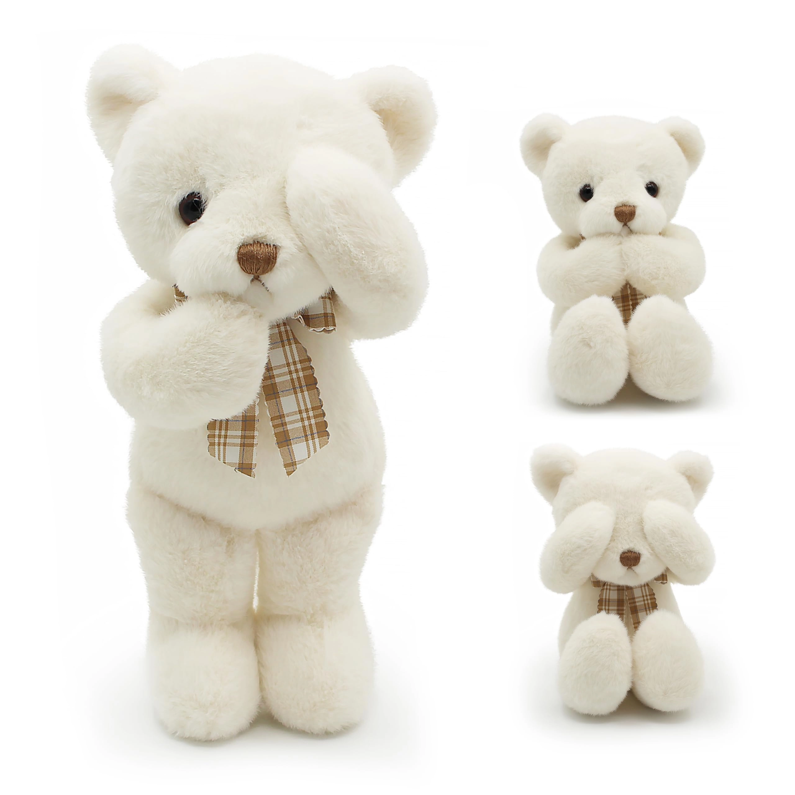 Teddy Bear HUACHUKAI006 30 cm Plush
