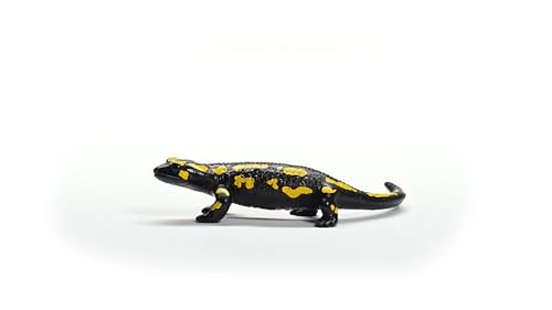Fire Salamander - 4+