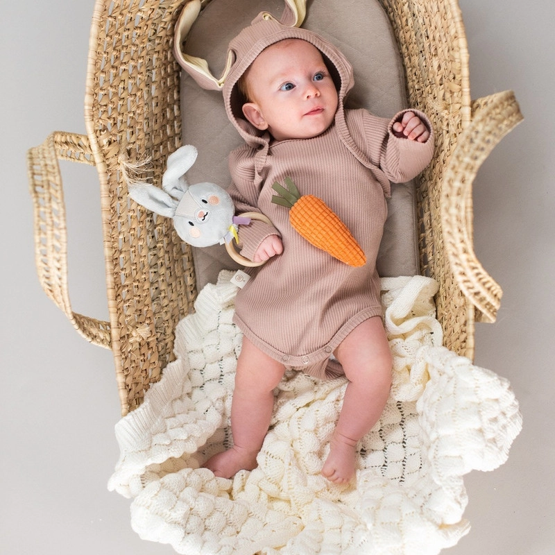 Rylee Musical Bunny - 0 Months & Above ultra-soft fabric