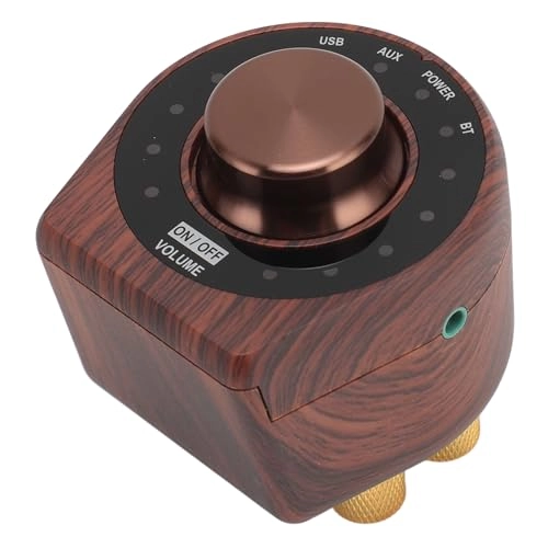 5.0 Small Amplifier - 2.0CH 100W x 2