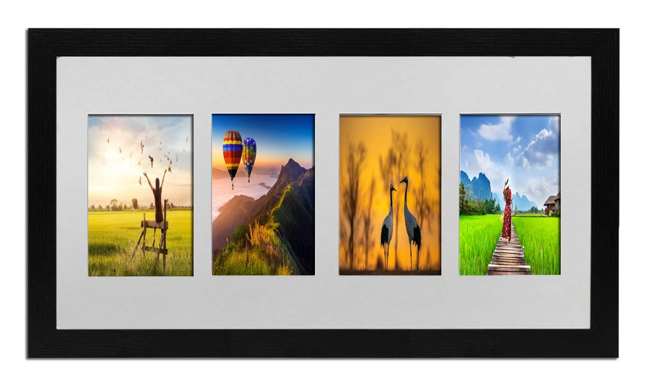 Multi Aperture Picture Frame - 20x10 4x