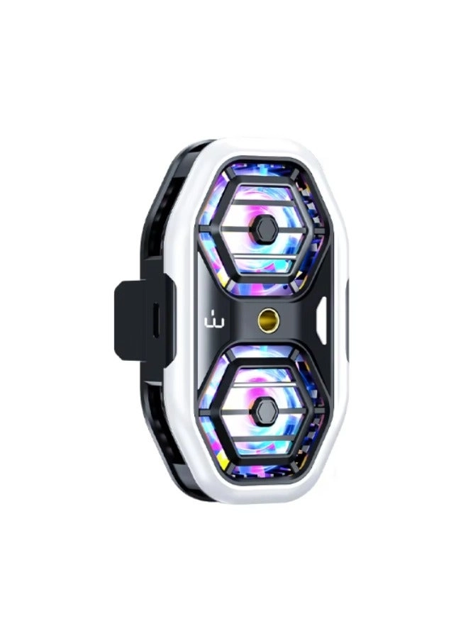 DL05 - Mobile Phone Radiator Digital Display