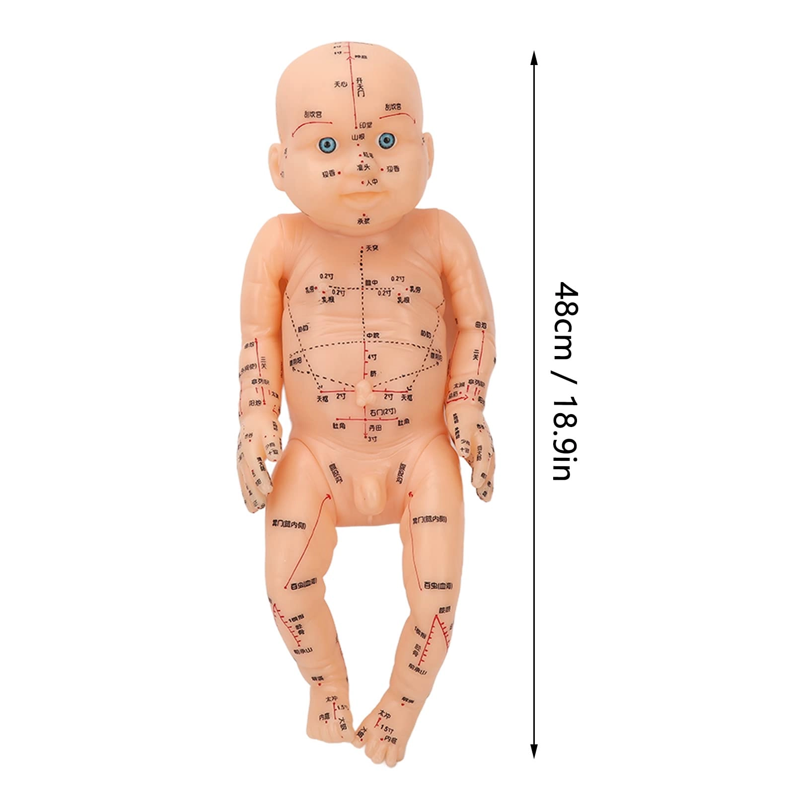 Acupoint children model