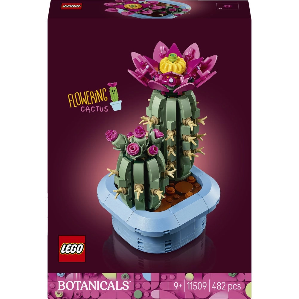 Flowering Cactus (11509)